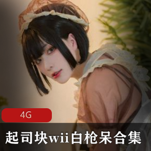 （起司块wii）白枪呆魅魔束缚合集