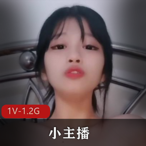 电报-175南航空姐 [13V-2.4G]