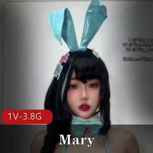 胜利女神Mary-Nikke Mary Bunny [1V-3.8G]